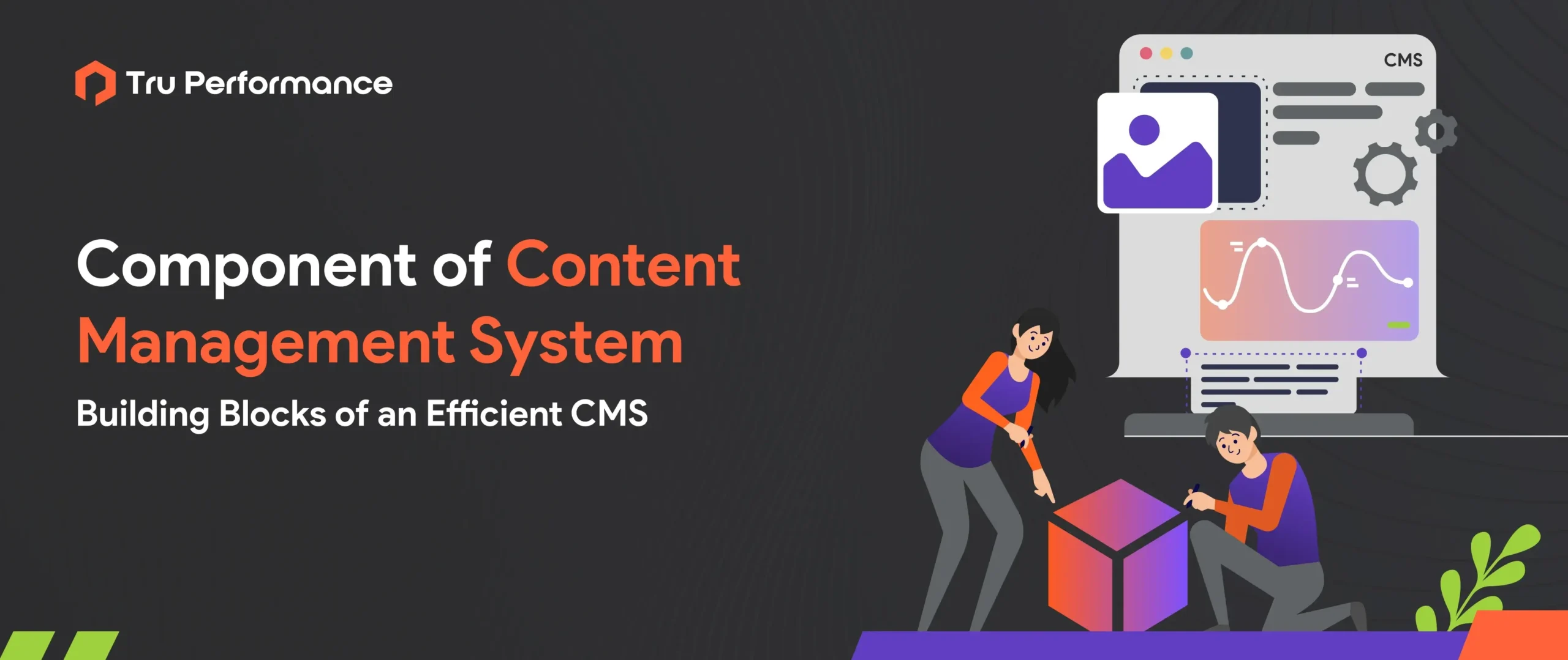 TRUS_CMS_bannerdesign11122024_TP192_v1